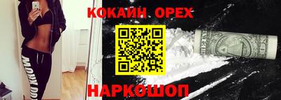 гидра Рязань