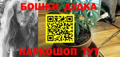 гидра Рязань