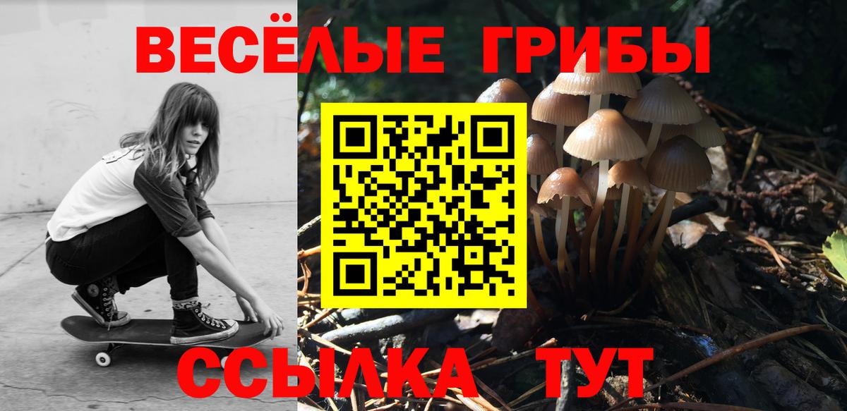 Псилоцибиновые грибы Psilocybe Строитель